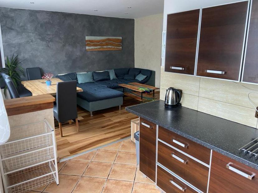 Apartman Orlicke Hory Orlicke Zahori Экстерьер фото