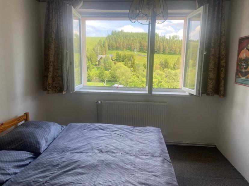 Apartman Orlicke Hory Orlicke Zahori Экстерьер фото