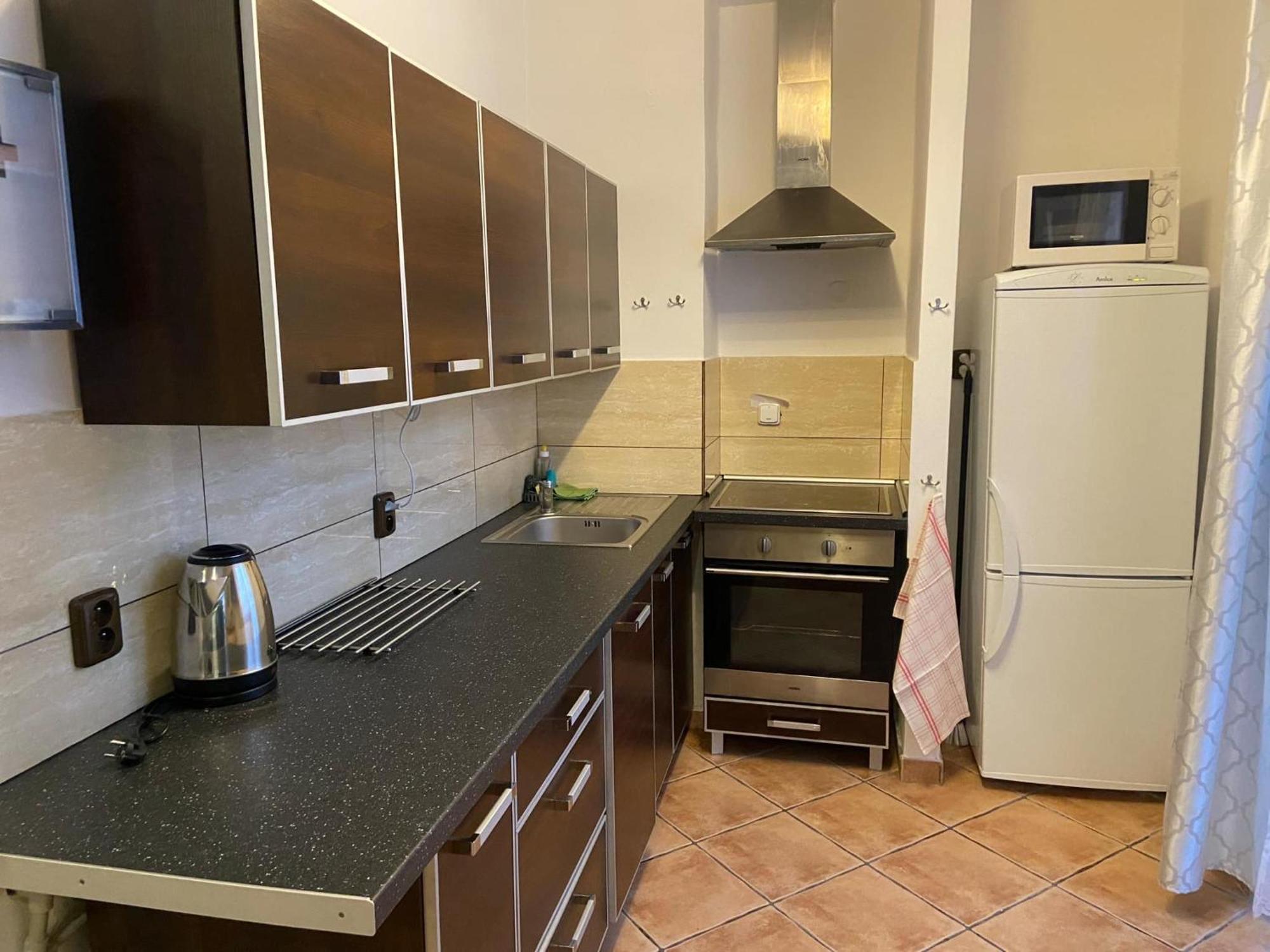 Apartman Orlicke Hory Orlicke Zahori Экстерьер фото